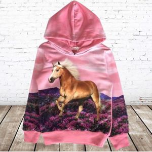Roze hoodie met paarden f45 -s&C-98/104-Hoodie meisjes