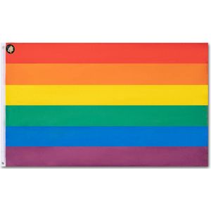 Pride vlag LGBTQIA Regenboog rainbow gay pride vlag 90 x 150 cm trans queer non-binair progressieve lesbian gay homosexual silk printed messing ogen weerbestendig
