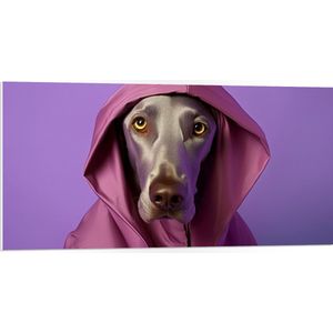PVC Schuimplaat- Portret van Bruine Duitse Dog Hond in Roze Regenjas - 100x50 cm Foto op PVC Schuimplaat