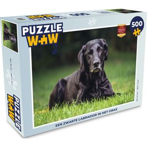 Puzzel Een zwarte labrador in het gras - Legpuzzel - Puzzel 500 stukjes