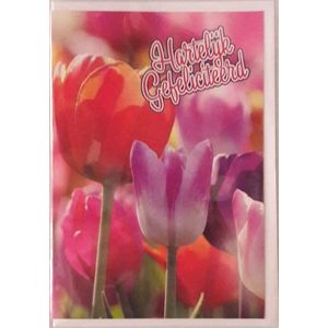 Hartelijk gefeliciteerd met je verjaardag! Een bijzondere wenskaart met mooie tulpen in meerdere kleuren. Een leuke kaart om zo te geven of om bij een cadeau te voegen. Een dubbele wenskaart inclusief envelop en in folie verpakt.