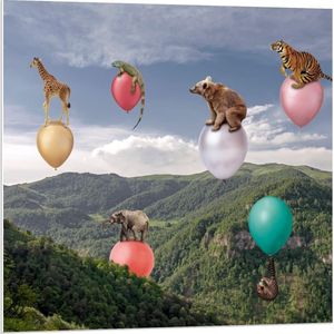 Forex - Wilde Dieren op Ballonnen boven Landschap - 80x80cm Foto op Forex