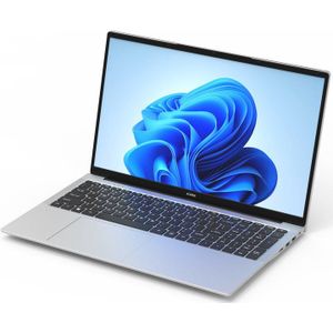 Acmine Laptop - 17.3"" FHD IPS - 16 GB RAM - 512GB SSD - Twin Lake N150 - Windows 11 Pro - Met AZERTY-Toetsenbordsticker - Grijs