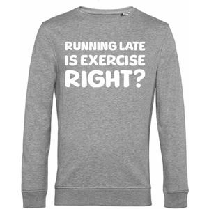 7431 - Sweater - Running late-Heather Grey-XS