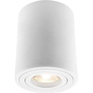 Braytron Gama Plafondspot Downlight Opbouwspot- Aluminium -Ronde-Kantelbaar -80Ø -Wit GU10 Fitting-IP20