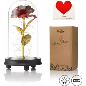 Luxe Roos in Glas met LED – Gouden Roos in Glazen Stolp – Moederdag Cadeau - Valentijn - Bekend van Beauty and the Beast Rose - Cadeau voor vriendin moeder haar - Donkere Voet - Qwality