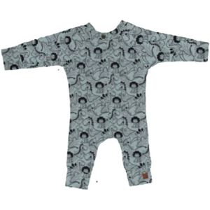 Onesie dino groen met roesje