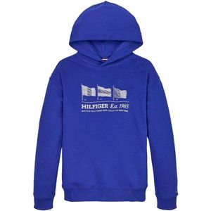 Tommy Hilfiger Waving Flag Hoodie