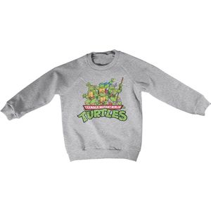 Teenage Mutant Ninja Turtles Teeange Mutant Ninja Turtles Distressed Group Kids Sweatshirt Kinder Heather-Grey-12 Jahre