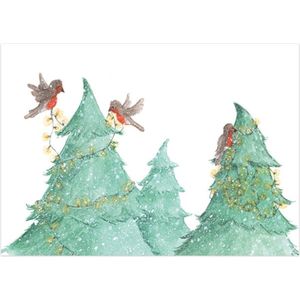 Kerstkaarten | Set van 5 | Vogeltjes met kerstlampjes | Illu-Straver