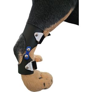 Brace, hond brace, hond pad protector, hond ankle bandage, hond ankle brace, hond spalk, hond enkel brace, hond enkel beugel maat L