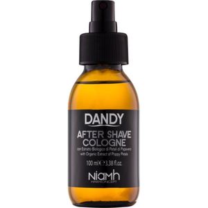 Dandy After Shave Cologne Cologne Aftershave 100ml