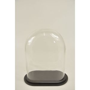 Stolp ovaal L helder glas 24x12,5x30cm zwart houten plateau