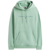 TOMMY JEANS - TJM REG LINEAR LOGO HOODIE EXT - Hoodie - Cloudy Jade Multi
