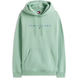 TOMMY JEANS - TJM REG LINEAR LOGO HOODIE EXT - Hoodie - Cloudy Jade Multi