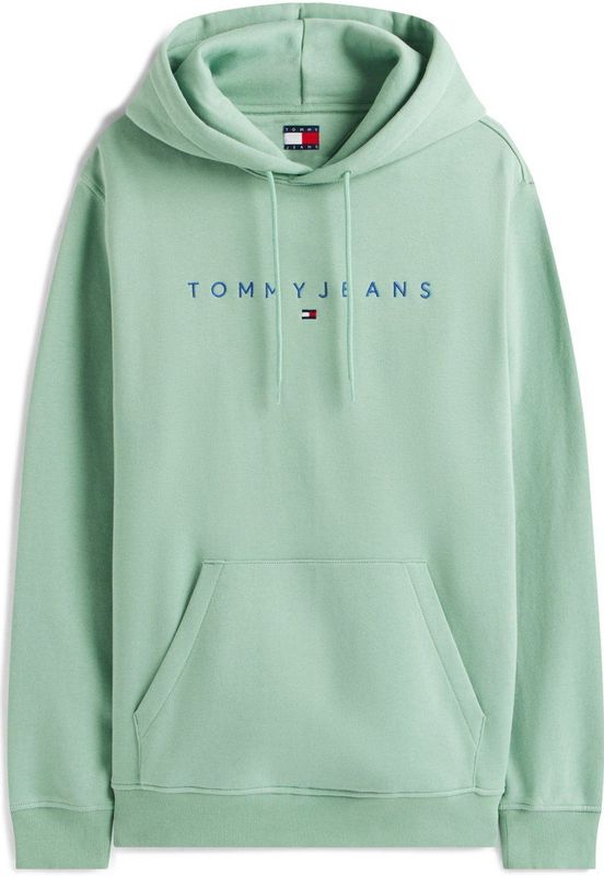 TOMMY JEANS - TJM REG LINEAR LOGO HOODIE EXT - Hoodie - Cloudy Jade Multi