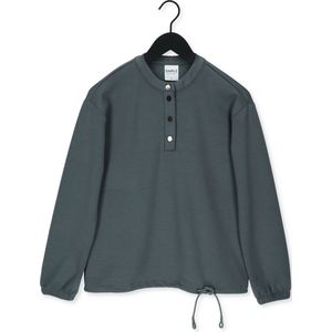 Simple Jersey Sweater Selena Scuba Truien & vesten Dames - Sweater - Hoodie - Vest- Groen - Maat M