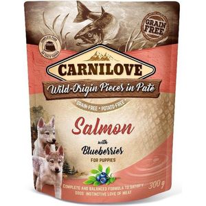 Carnilove Dog Pouch Pate Salmon with Blueberries for Puppy's 300 gram -  - Honden droogvoer