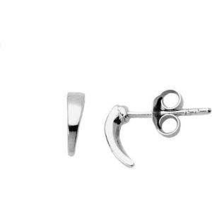 Zilver Haak Oorknopjes