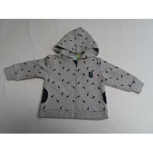 Gilet - Jongens - Kap en rist - Grijst met zwart - 3 maand 62