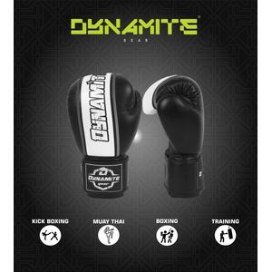 Dynamite Kickboxing Bokshandschoenen - Echt Leer 14 OZ