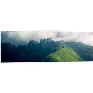 PVC Schuimplaat- Dichtbegroeide Bergen in Mist van Wolken - 120x40 cm Foto op PVC Schuimplaat