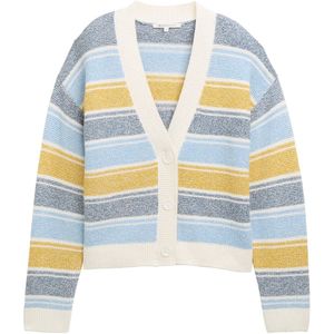 TOM TAILOR DENIM - Gebreid Vest - Lichtblauw Donkerblauw Mosterd Wit - V-hals