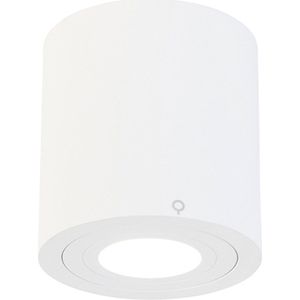QAZQA capa - Moderne Dimbare LED Smart Plafondspot | Spotje | Opbouwspot incl. wifi met Dimmer voor badkamer - 1 lichts - Ø 9 cm - Wit -