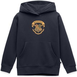 Harry Potter Zweinstein Wapenschild Hogwarts Premium Hoodie Kinderen