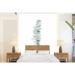 Plant - Groen - Natuur - Wit - Behangpapier