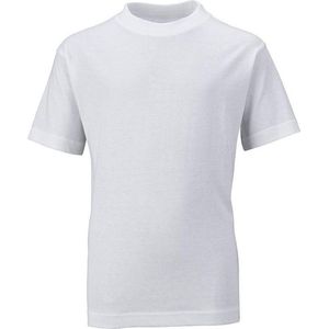 James and Nicholson Kinderen/Kinderen Basic Tee (Wit)