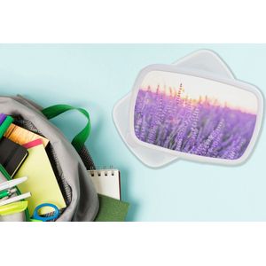 Broodtrommel Wit - Lunchbox - Brooddoos - Lavendel - Close-up - Paars - Bloemen - 18x12x6 cm - Volwassenen