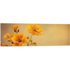 Vlag - Oranje Boterbloemen bij Licht Bruine Achtergrond - 120x40 cm Foto op Polyester Vlag