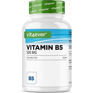 Vit4ever - Vitamine B5 - 500 mg - 365 Tabletten