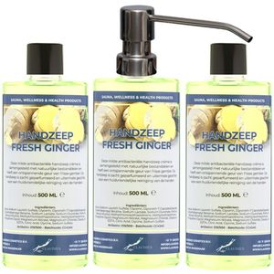 Handzeep Fresh Ginger 500 ml - set van 3 stuks - met gratis RVS zilverkleurige pomp - Voordeelverpakking