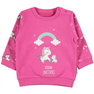 Baby/peuter sweater meisjes - Little unicorns Babykleding