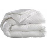 Dekbed Microvezel 4-Jaargetijden Thermo