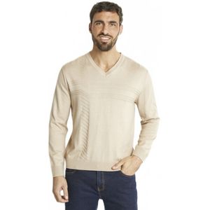 Katoenen trui met lange mouwen en V-hals