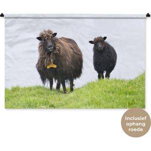 Wandkleed Schaap - Een stel harige bruine schapen Wandkleed katoen 150x100 cm - Wandtapijt met foto