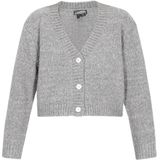 DreiMaster Vintage Gebreid vest  grijs