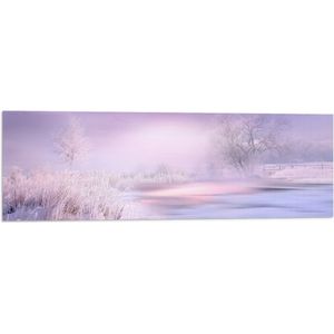 WallClassics - Vlag - Zachte Kleuren Lucht in Winterlandschap - 90x30 cm Foto op Polyester Vlag
