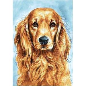 Wizardi Diamond painting WD180 - strass steentjes -Faithful dog 20x30 cm