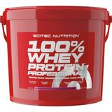 Scitec Nutrition - 100% Whey Protein Professional (Strawberry/White Chocolate - 5000 gram) - Eiwitshake - Eiwitpoeder - Eiwitten - Proteine poeder