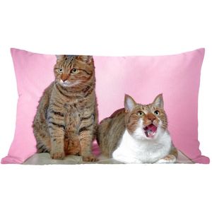 Sierkussen Katten voor binnen - Twee katten voor roze achtergrond - 50x30 cm - rechthoekig binnenkussen van katoen
