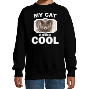 Britse korthaar katten trui / sweater my cat is serious cool zwart - kinderen - katten / poezen liefhebber cadeau sweaters - kinderkleding / kleding 122/128