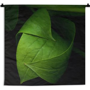 Wandkleed Planten op een zwarte achtergrond - De details van een groen blad tegen een zwarte achtergrond Wandkleed katoen 150x150 cm - Wandtapijt met foto
