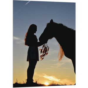 Vlag - Silhouet van Meisje met Dromenvanger bij Paard Tijdens Zonsondergang - 70x105 cm Foto op Polyester Vlag