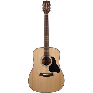 Akoestische gitaar Richwood Custom Shop D-240 incl. Gigbag