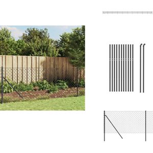 vidaXL Gaashek - Gaashekken - Hek - Hekwerk - Gaashek 0,8x25 m antracietkleurig