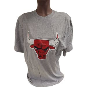 CHICAGO BULLS - T-SHIRT- GREY- S